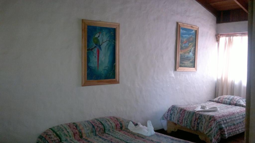 Hostel Villa Verde Монте-Верде Экстерьер фото